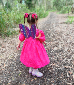 Fairy Wings