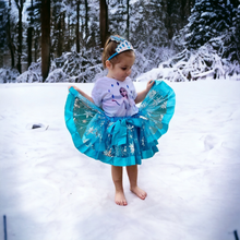 Load image into Gallery viewer, Ice Queen Tulle Tutu
